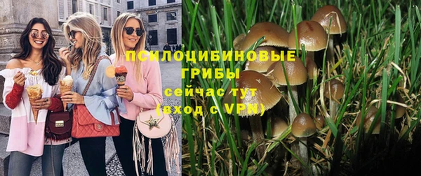 прущие грибы Алексеевка