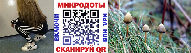 Псилоцибиновые грибы MAGIC MUSHROOMS  Артёмовский 